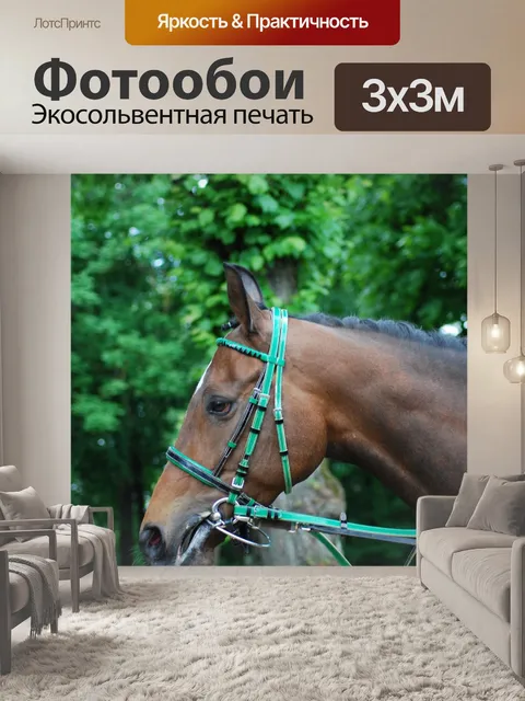 Фотообои Запустить