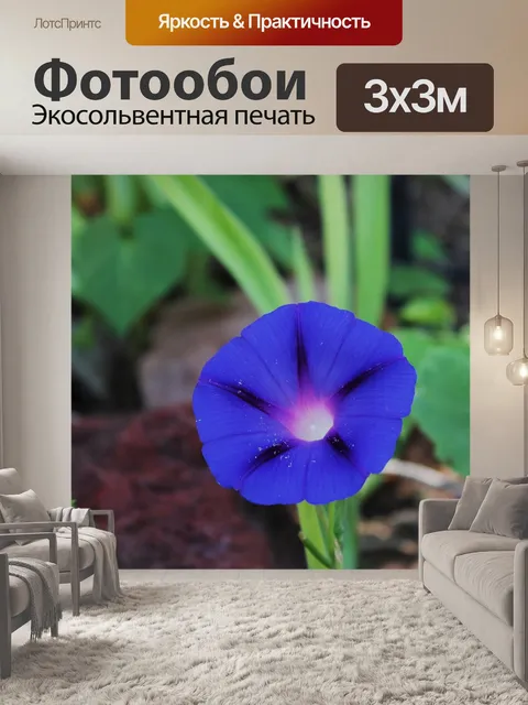 Фотообои Цветок