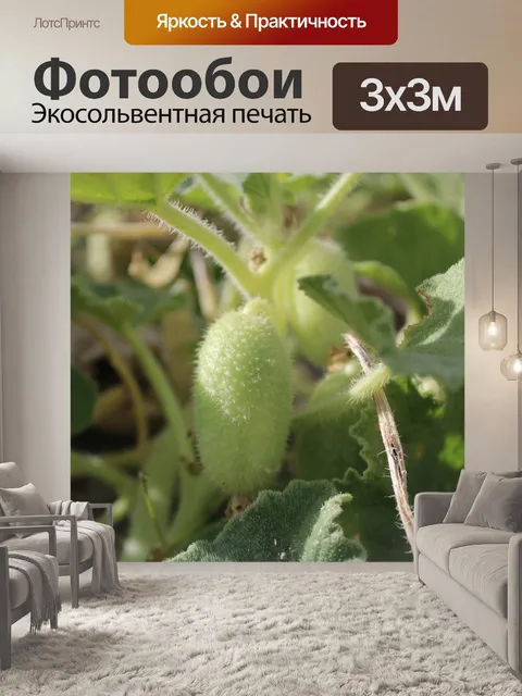Фотообои Природа