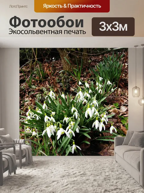 Фотообои Краю леса