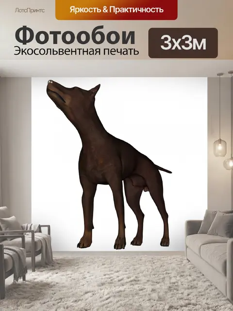 Фотообои глядя вверх 2