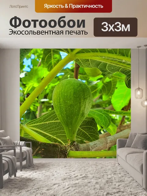 Фотообои растущий инжир