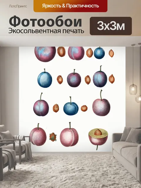 Фотообои Сливы марочные