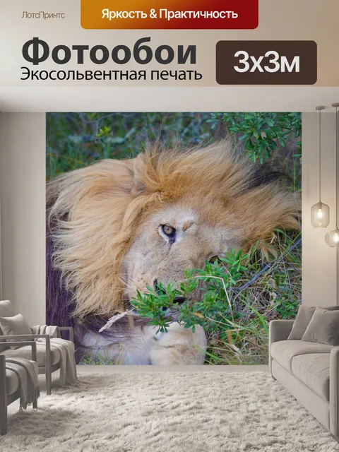 Фотообои Лев