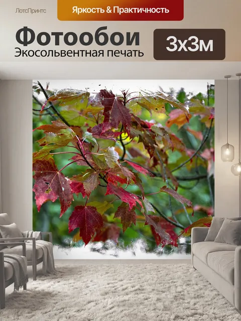 Фотообои Осенние листья