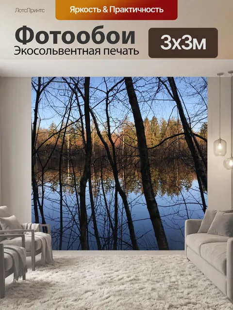 Фотообои Лес