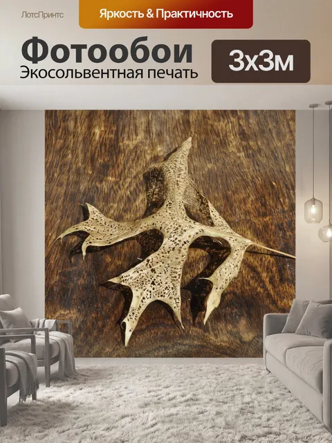 Фотообои Лист