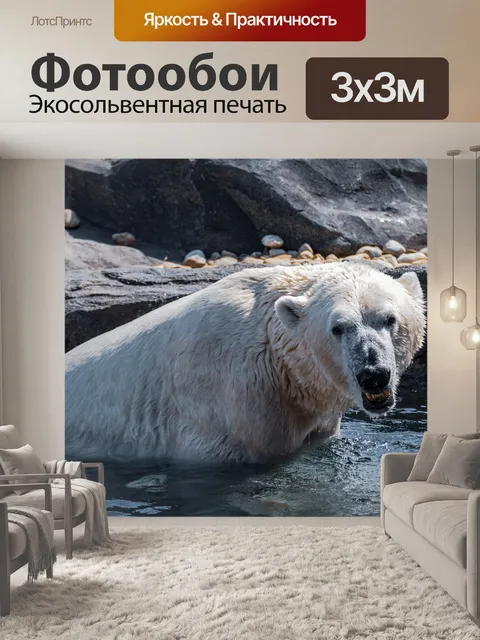 Фотообои Белый медведь