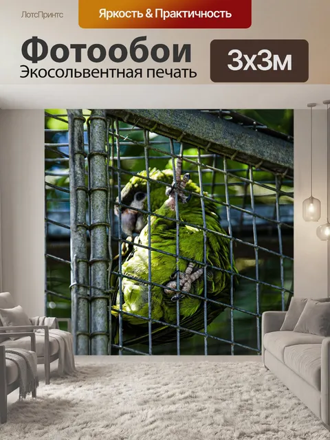 Фотообои Птица