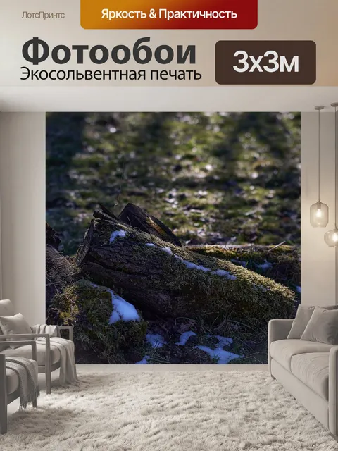 Фотообои Древесина