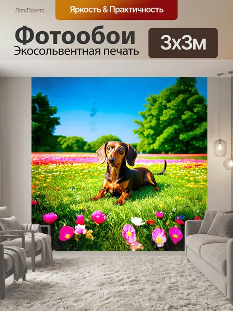 Фотообои такса, валяющаяся на лужайке среди весенних цветов в ярких оттенках розового и желтого