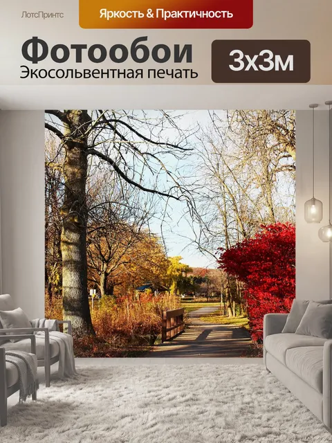 Фотообои Осеннее парк