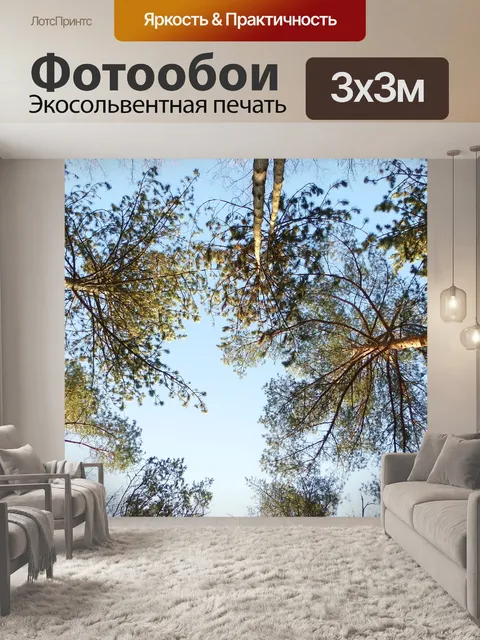 Фотообои Деревья