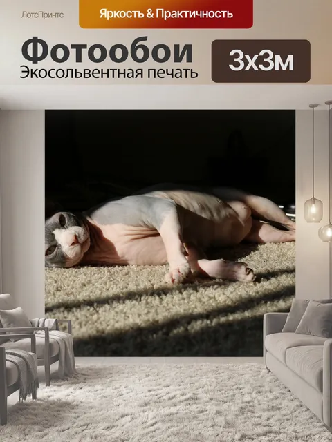 Фотообои Сфинкс на солнце, ковер
