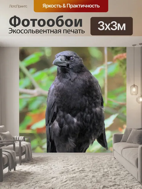 Фотообои ворона И.В.