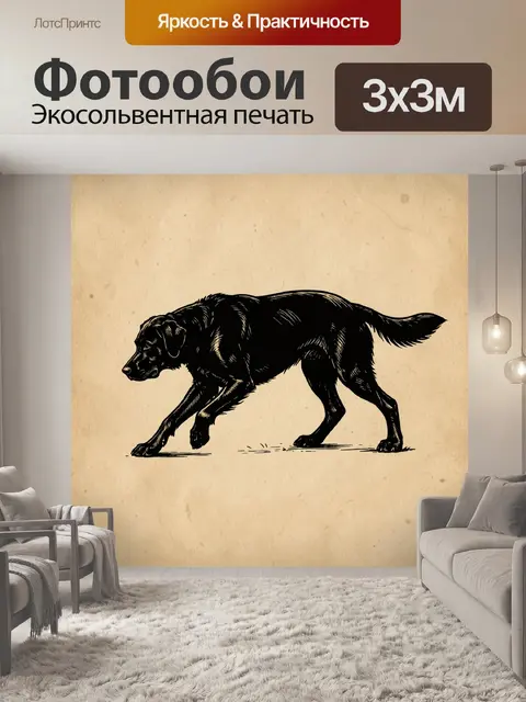 Фотообои Черный пес в шаге