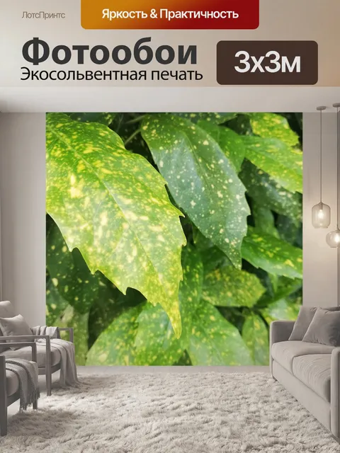 Фотообои Лист