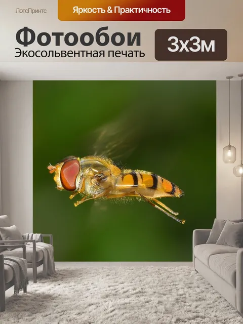 Фотообои Насекомые