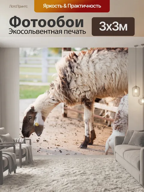 Фотообои Время обеда