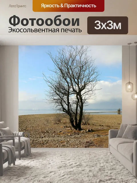Фотообои Берег реки