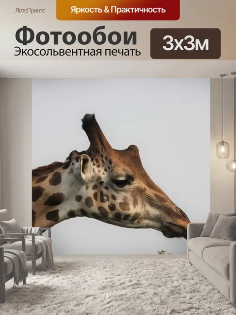 Фотообои Жирафа