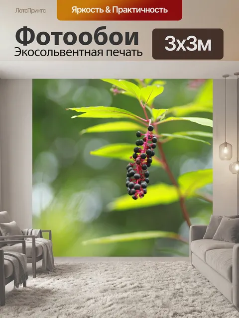 Фотообои Фрукты