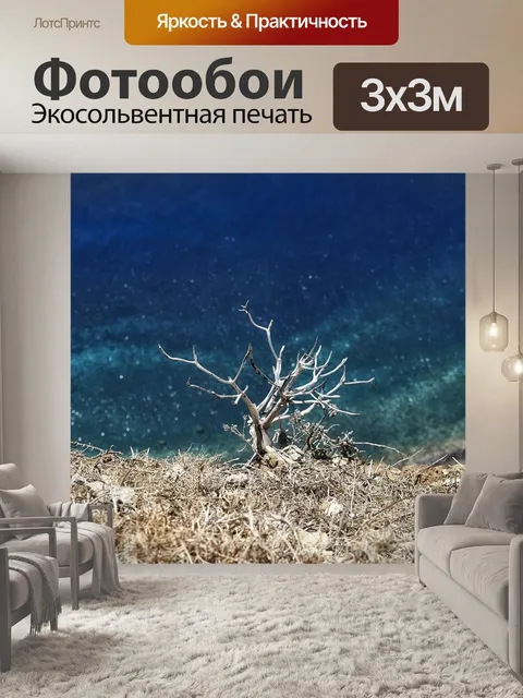 Фотообои Атлантический