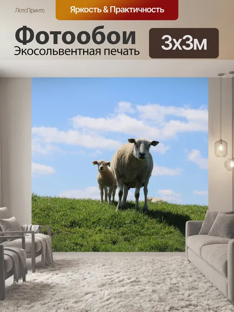 Фотообои Овца и ягненок