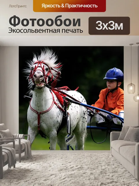 Фотообои Лошадь