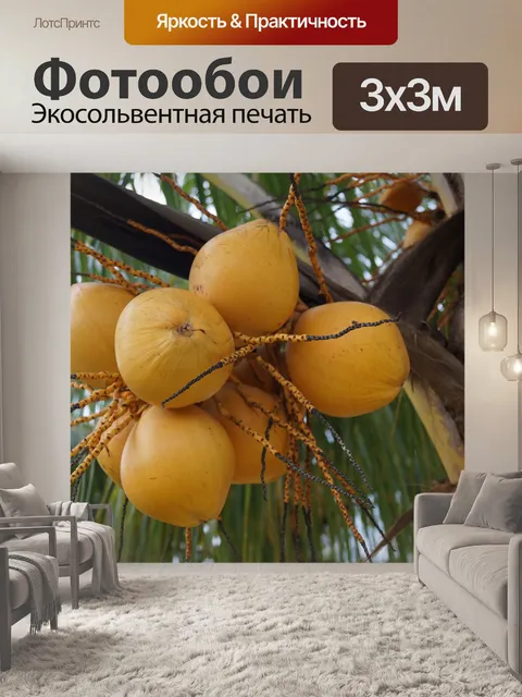 Фотообои Кокосовый