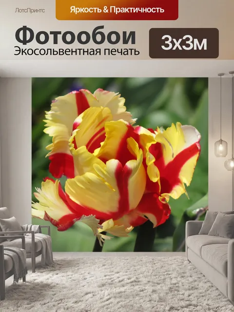 Фотообои Желтые и красные тюльпаны попугай