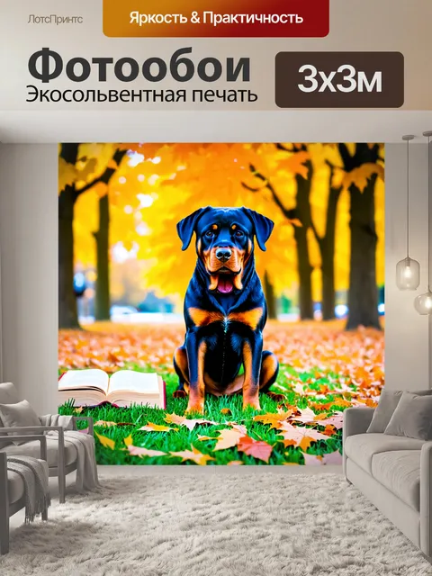 Фотообои ротвейлер, сидящий на газоне с книгой, окруженный листьями осени, с атмосферой уютного уединения