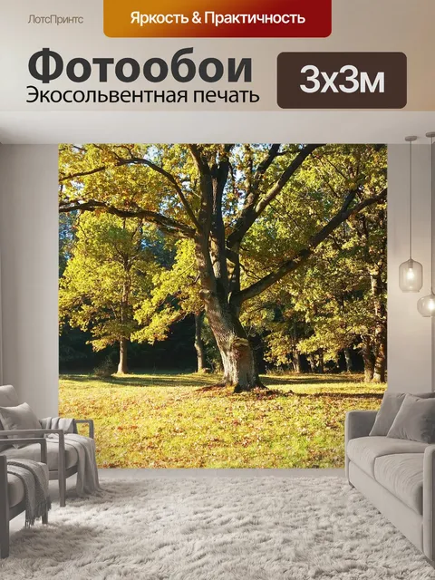 Фотообои Пейзаж