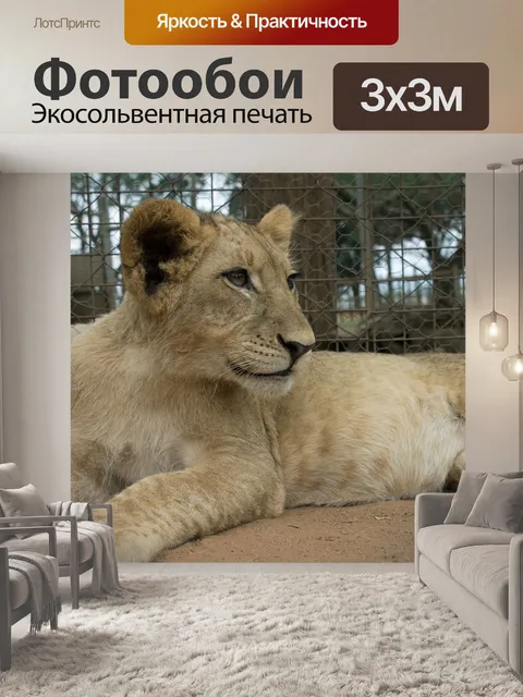 Фотообои Африка