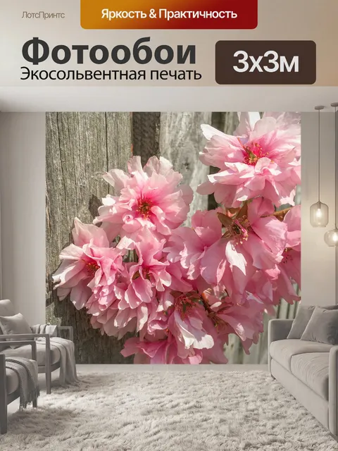 Фотообои Розовый вишневый цвет