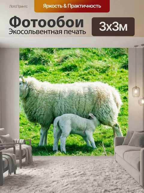 Фотообои Овцы и ягненок
