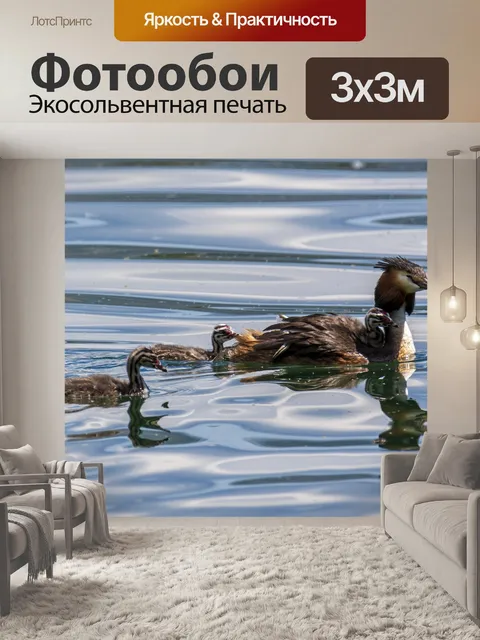 Фотообои Птицы