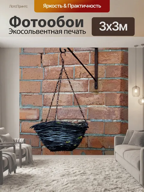 Фотообои Висячие корзины на здании