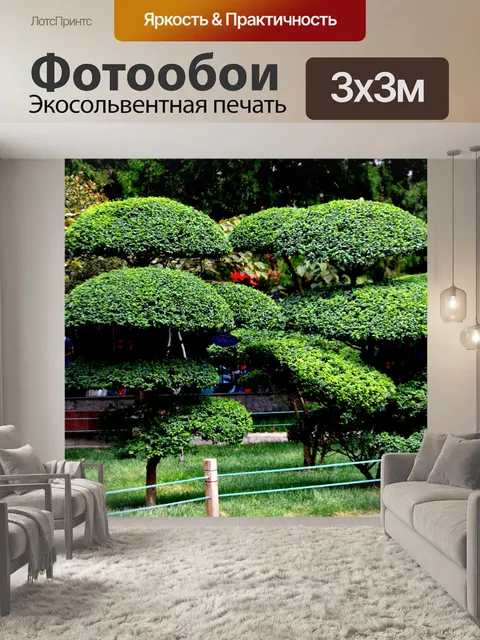 Фотообои Зонт Tree
