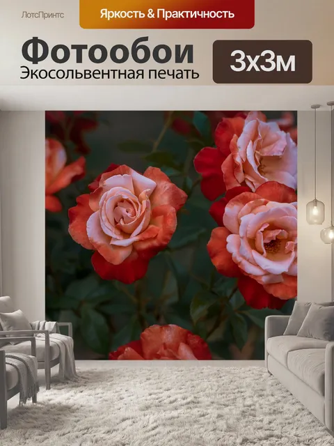 Фотообои Розы