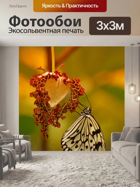 Фотообои Бабочка на цветке сердца
