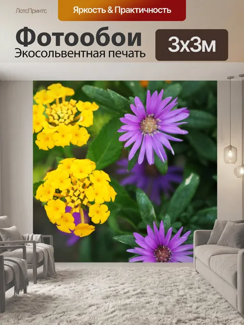 Фотообои Астры и Лантана Крупным планом