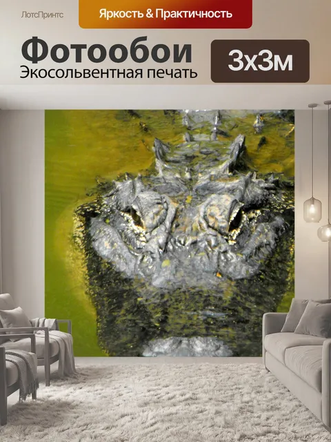 Фотообои Американская Gator 2