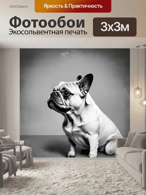 Фотообои минималистическое фото белого мопса в профиль