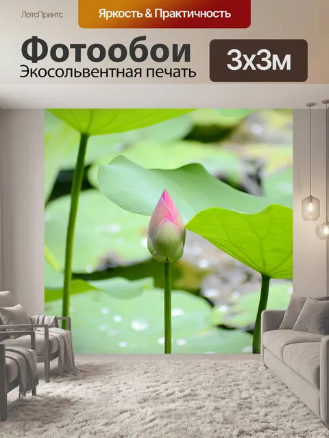 Фотообои Цветок лотоса