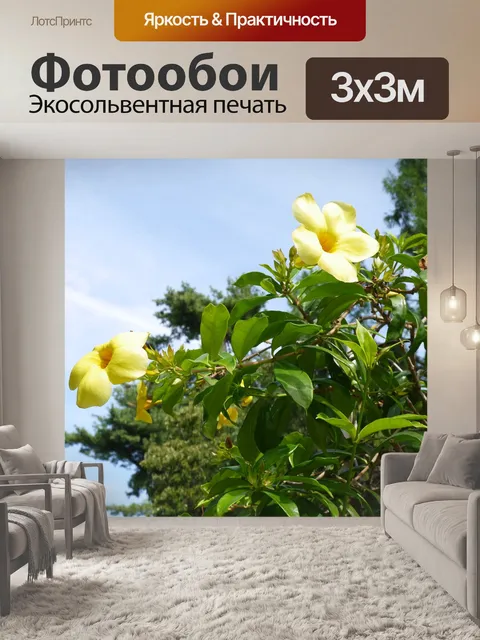 Фотообои Желтый