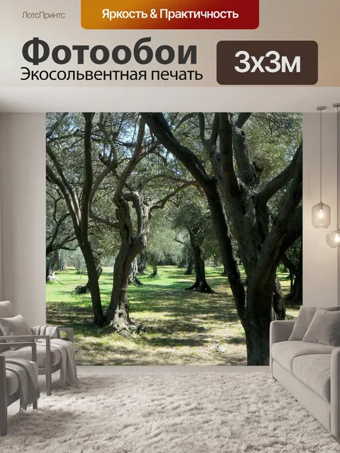 Фотообои Оливковое дерево