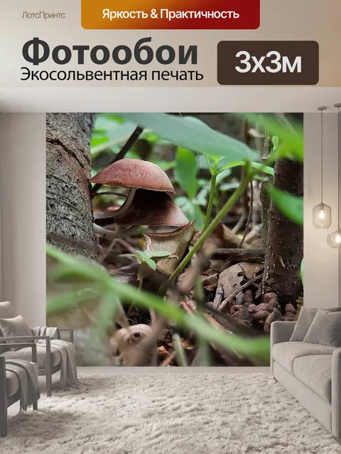 Фотообои Гриб
