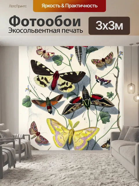 Фотообои Винтажные иллюстрации бабочек