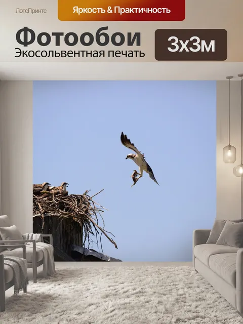 Фотообои Птица
